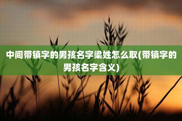 中间带镇字的男孩名字梁姓怎么取(带镇字的男孩名字含义)