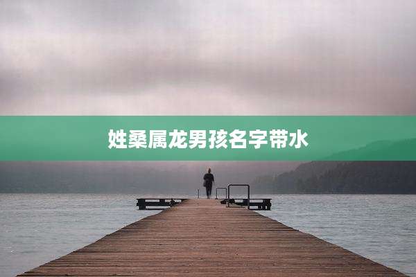 姓桑属龙男孩名字带水