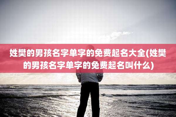 姓樊的男孩名字单字的免费起名大全(姓樊的男孩名字单字的免费起名叫什么)
