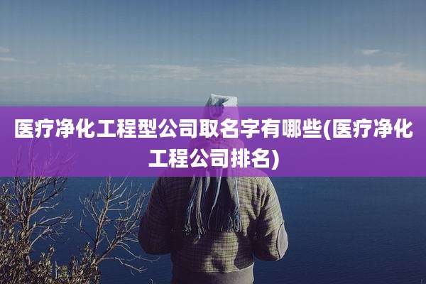 医疗净化工程型公司取名字有哪些(医疗净化工程公司排名)