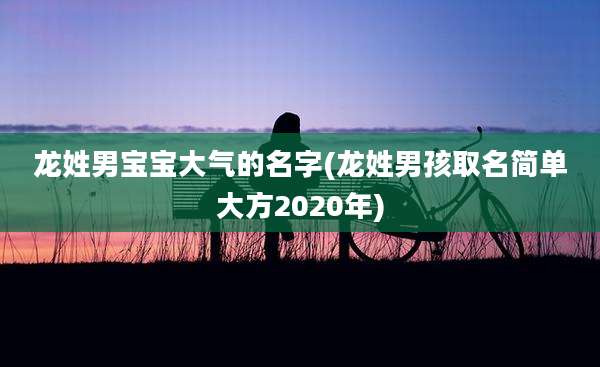 龙姓男宝宝大气的名字(龙姓男孩取名简单大方2020年)