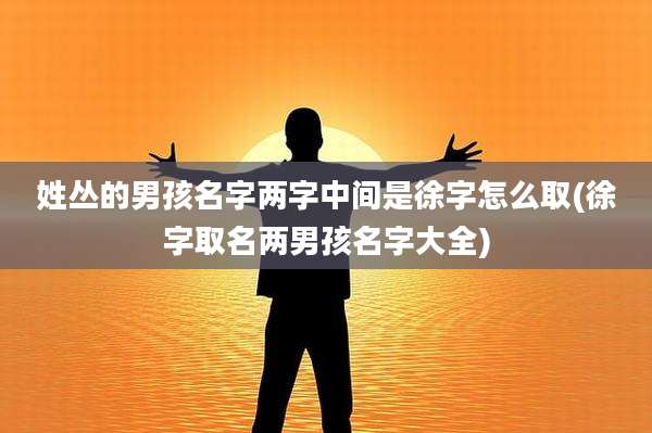 姓丛的男孩名字两字中间是徐字怎么取(徐字取名两男孩名字大全)