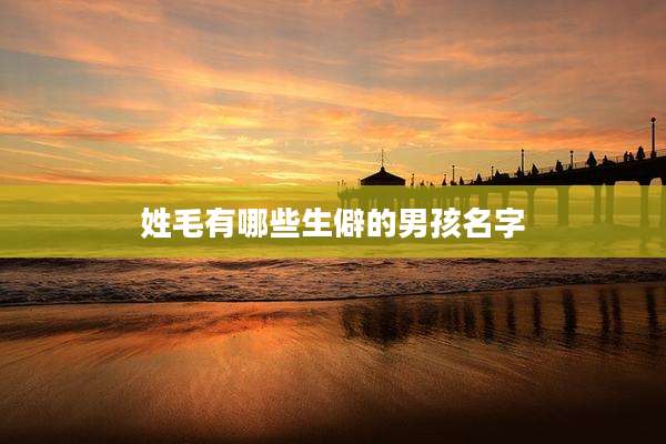 姓毛有哪些生僻的男孩名字