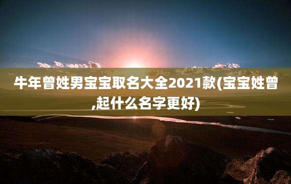 牛年曾姓男宝宝取名大全2021款(宝宝姓曾,起什么名字更好)
