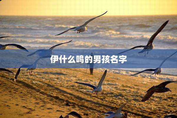 伊什么鸣的男孩名字
