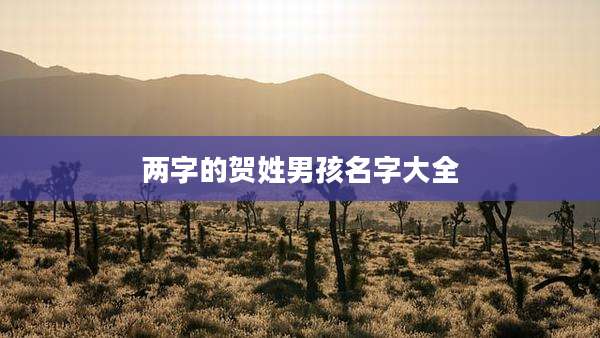 两字的贺姓男孩名字大全