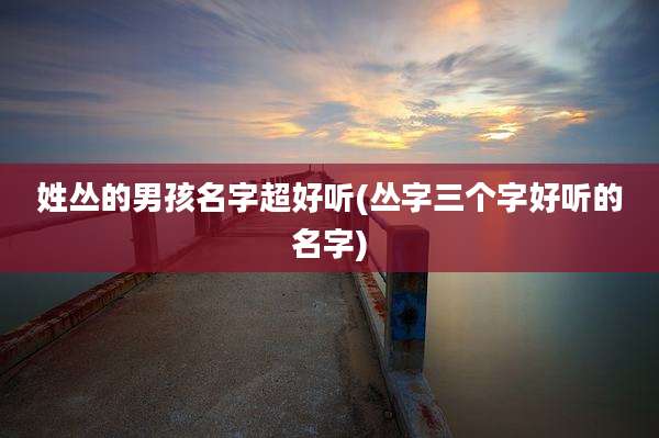 姓丛的男孩名字超好听(丛字三个字好听的名字)