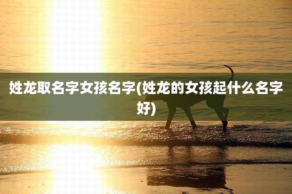 姓龙取名字女孩名字(姓龙的女孩起什么名字好)