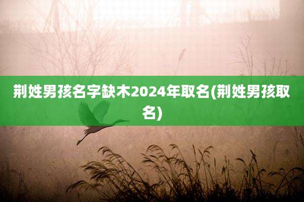 荆姓男孩名字缺木2024年取名(荆姓男孩取名)