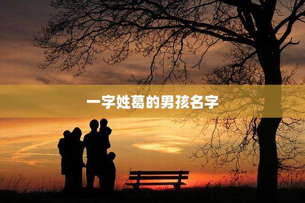 一字姓葛的男孩名字
