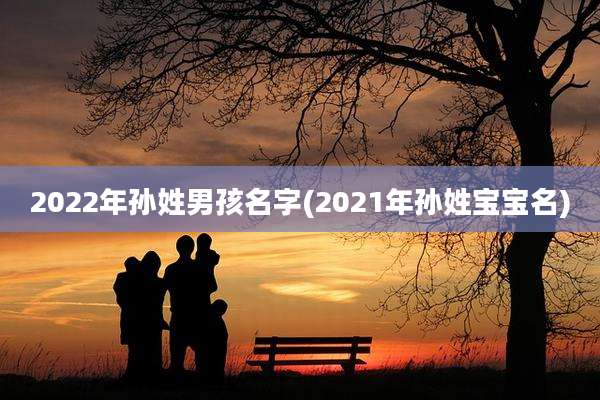 2022年孙姓男孩名字(2021年孙姓宝宝名)