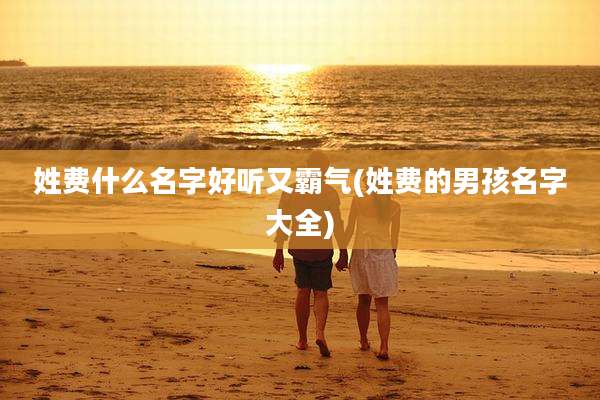 姓费什么名字好听又霸气(姓费的男孩名字大全)