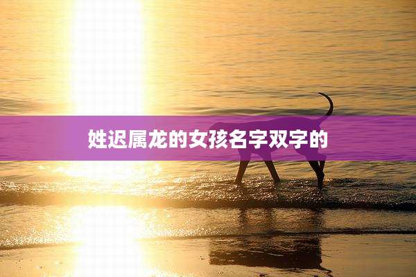 姓迟属龙的女孩名字双字的