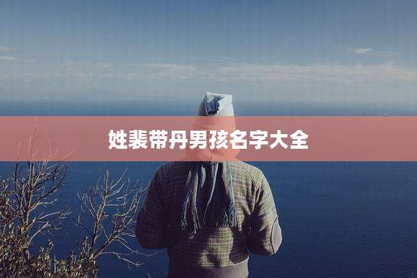 姓裴带丹男孩名字大全