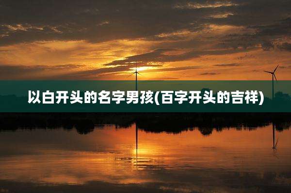 以白开头的名字男孩(百字开头的吉祥)