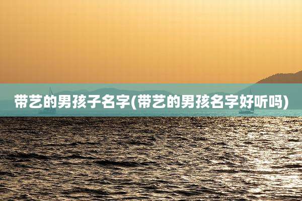 带艺的男孩子名字(带艺的男孩名字好听吗)