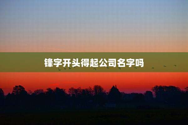 锋字开头得起公司名字吗
