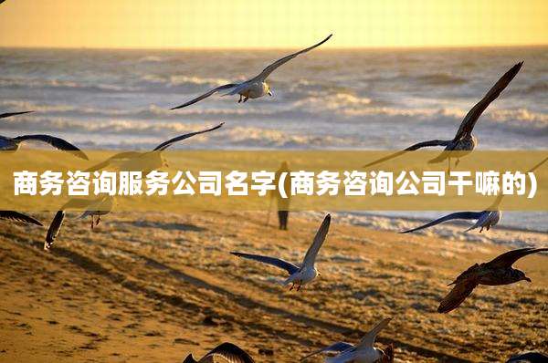 商务咨询服务公司名字(商务咨询公司干嘛的)