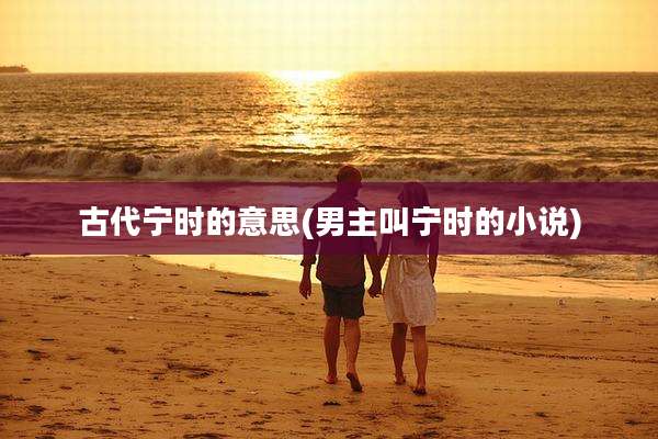 古代宁时的意思(男主叫宁时的小说)