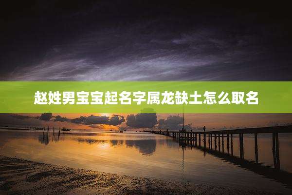 赵姓男宝宝起名字属龙缺土怎么取名