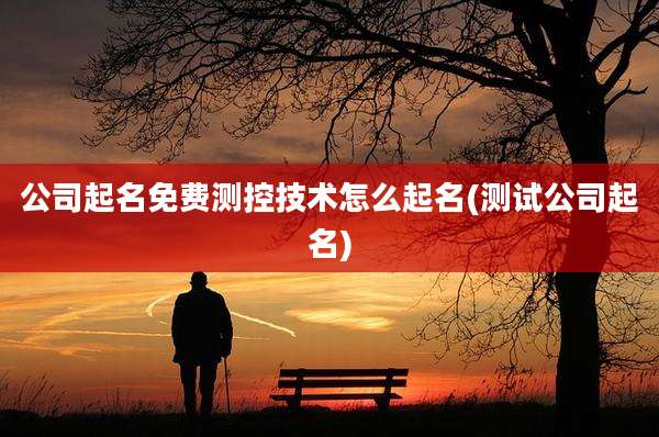 公司起名免费测控技术怎么起名(测试公司起名)