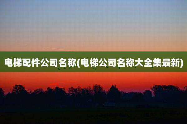电梯配件公司名称(电梯公司名称大全集最新)