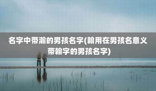 名字中带瀚的男孩名字(翰用在男孩名意义 带翰字的男孩名字)