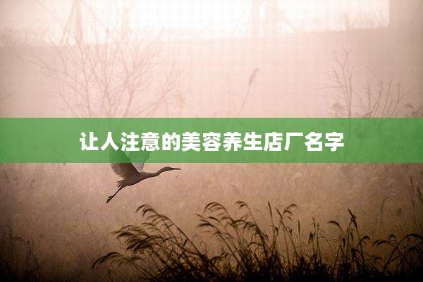 让人注意的美容养生店厂名字