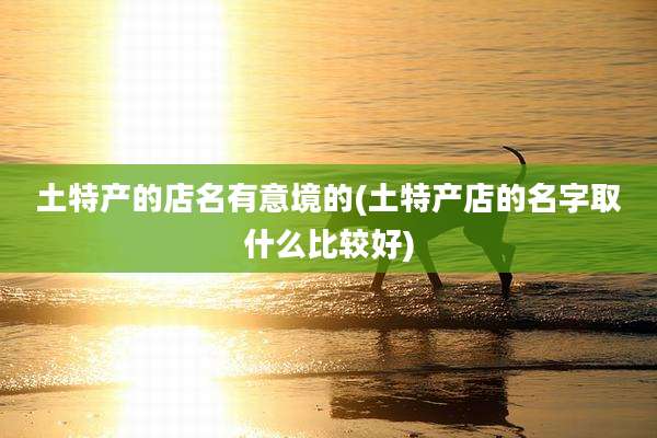 土特产的店名有意境的(土特产店的名字取什么比较好)