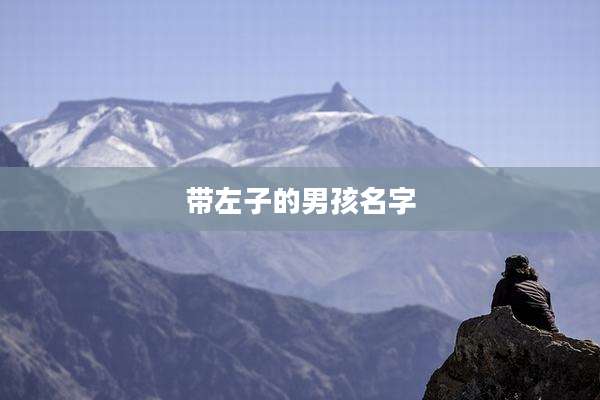 带左子的男孩名字