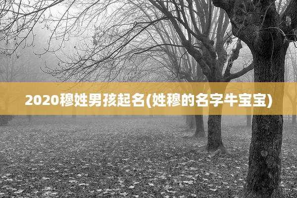 2020穆姓男孩起名(姓穆的名字牛宝宝)