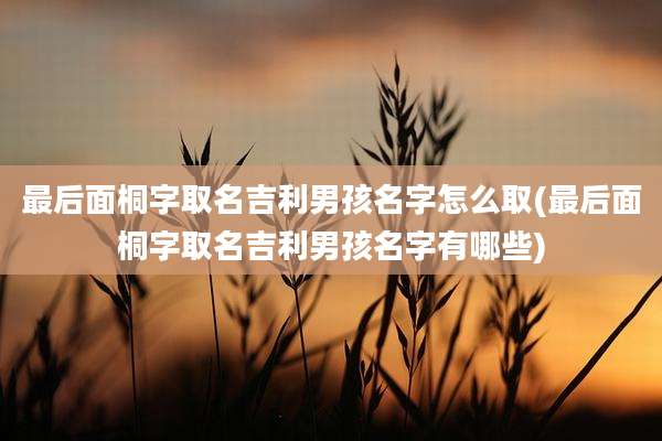 最后面桐字取名吉利男孩名字怎么取(最后面桐字取名吉利男孩名字有哪些)