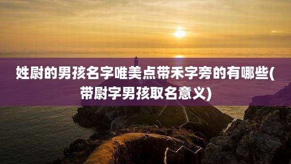 姓尉的男孩名字唯美点带禾字旁的有哪些(带尉字男孩取名意义)