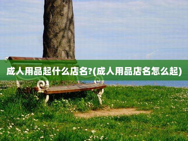成人用品起什么店名?(成人用品店名怎么起)