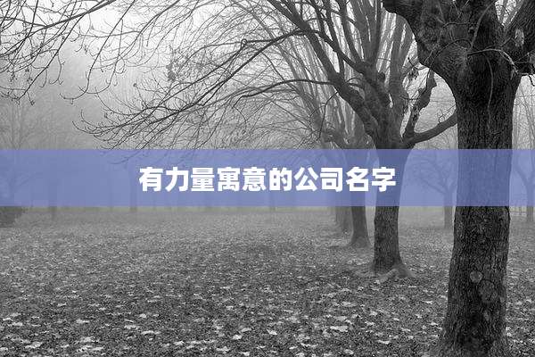 有力量寓意的公司名字