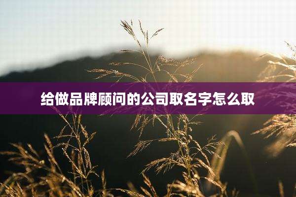 给做品牌顾问的公司取名字怎么取