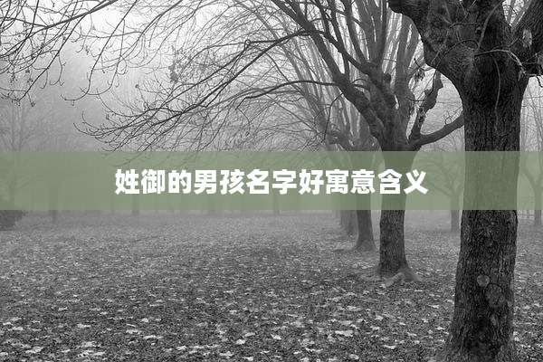姓御的男孩名字好寓意含义