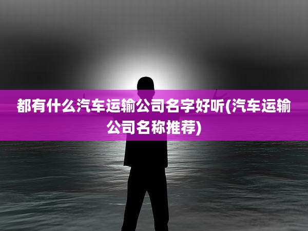 都有什么汽车运输公司名字好听(汽车运输公司名称推荐)
