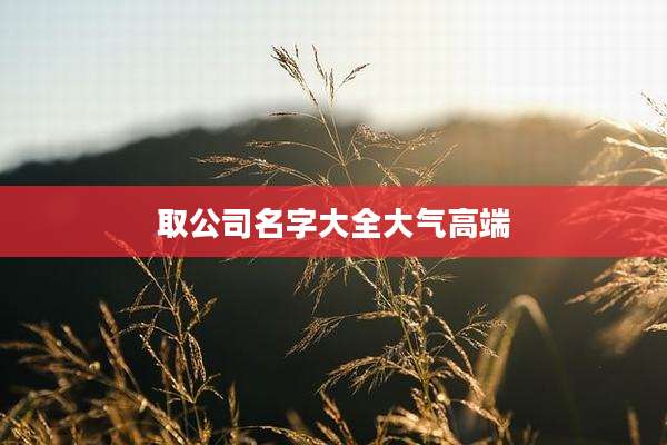 取公司名字大全大气高端