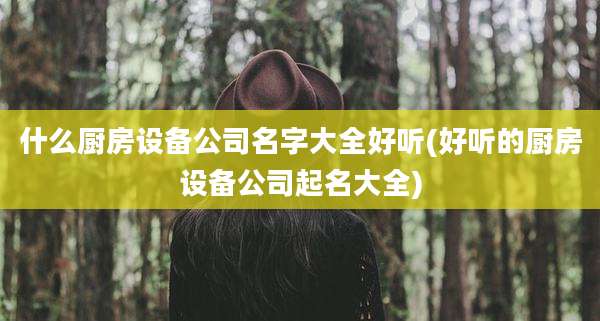 什么厨房设备公司名字大全好听(好听的厨房设备公司起名大全)