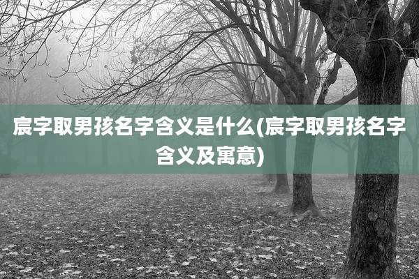 宸字取男孩名字含义是什么(宸字取男孩名字含义及寓意)