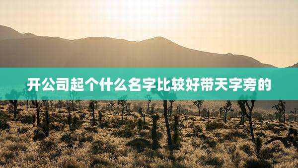 开公司起个什么名字比较好带天字旁的