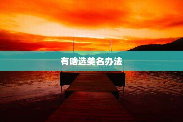 有啥选美名办法