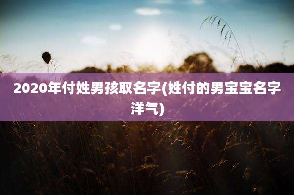 2020年付姓男孩取名字(姓付的男宝宝名字洋气)