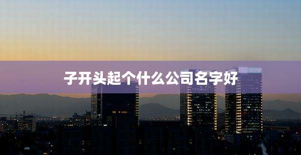 子开头起个什么公司名字好