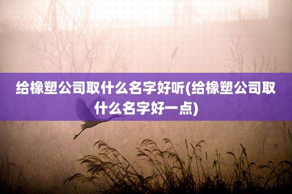 给橡塑公司取什么名字好听(给橡塑公司取什么名字好一点)