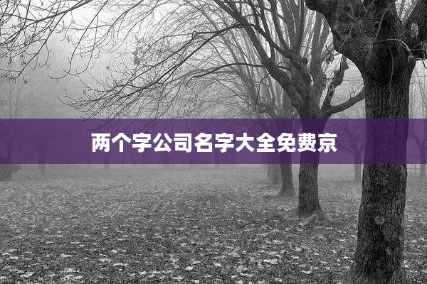 两个字公司名字大全免费京