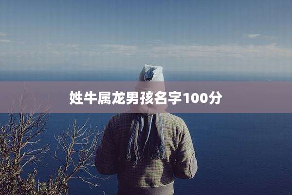 姓牛属龙男孩名字100分