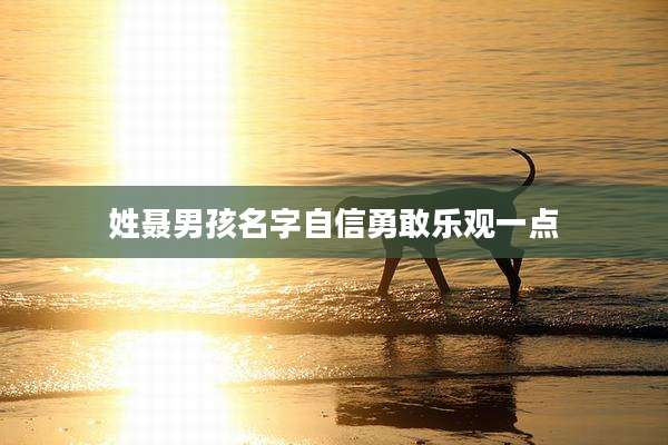 姓聂男孩名字自信勇敢乐观一点