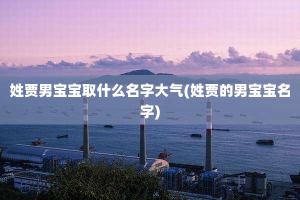 姓贾男宝宝取什么名字大气(姓贾的男宝宝名字)
